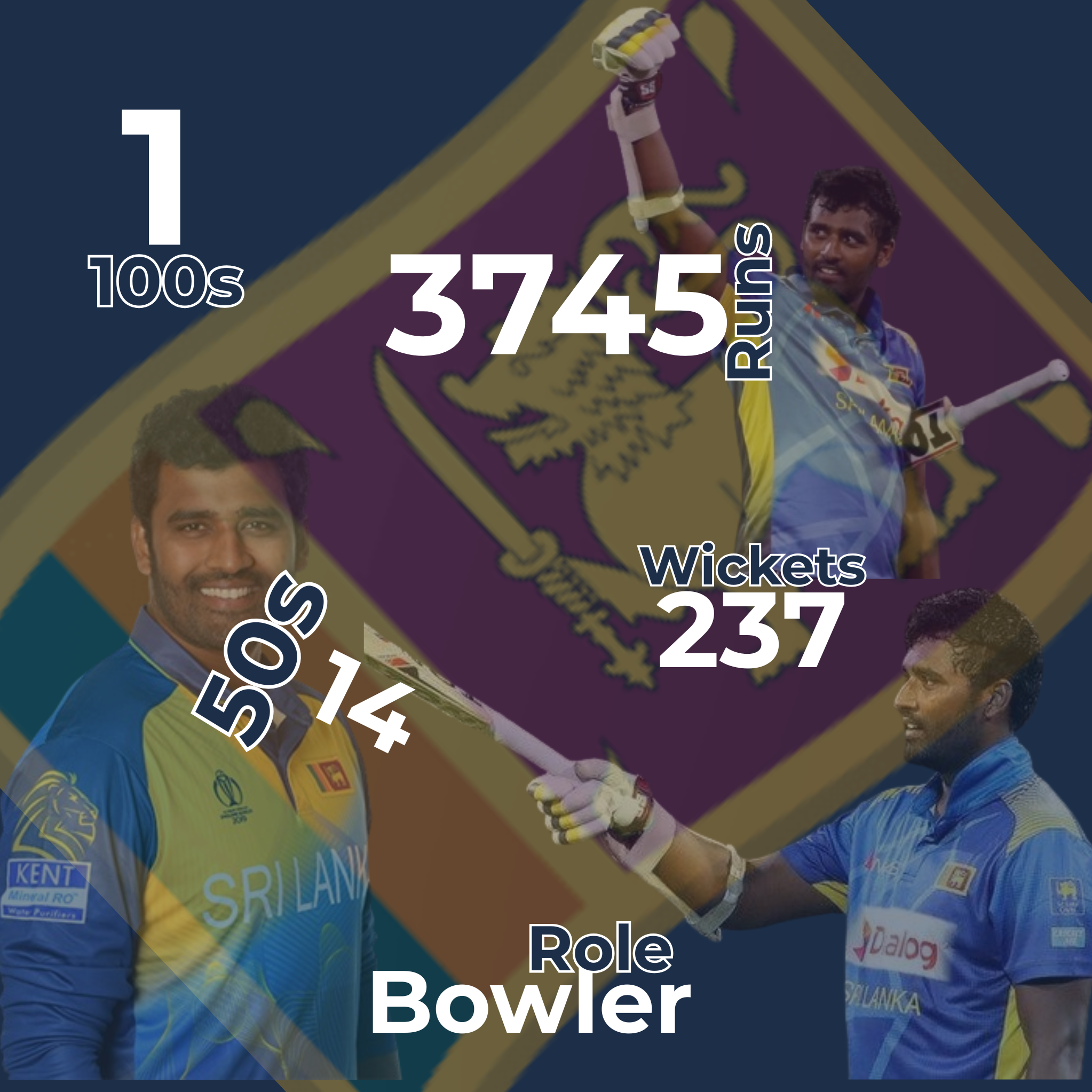 Thisara Perera Infographic