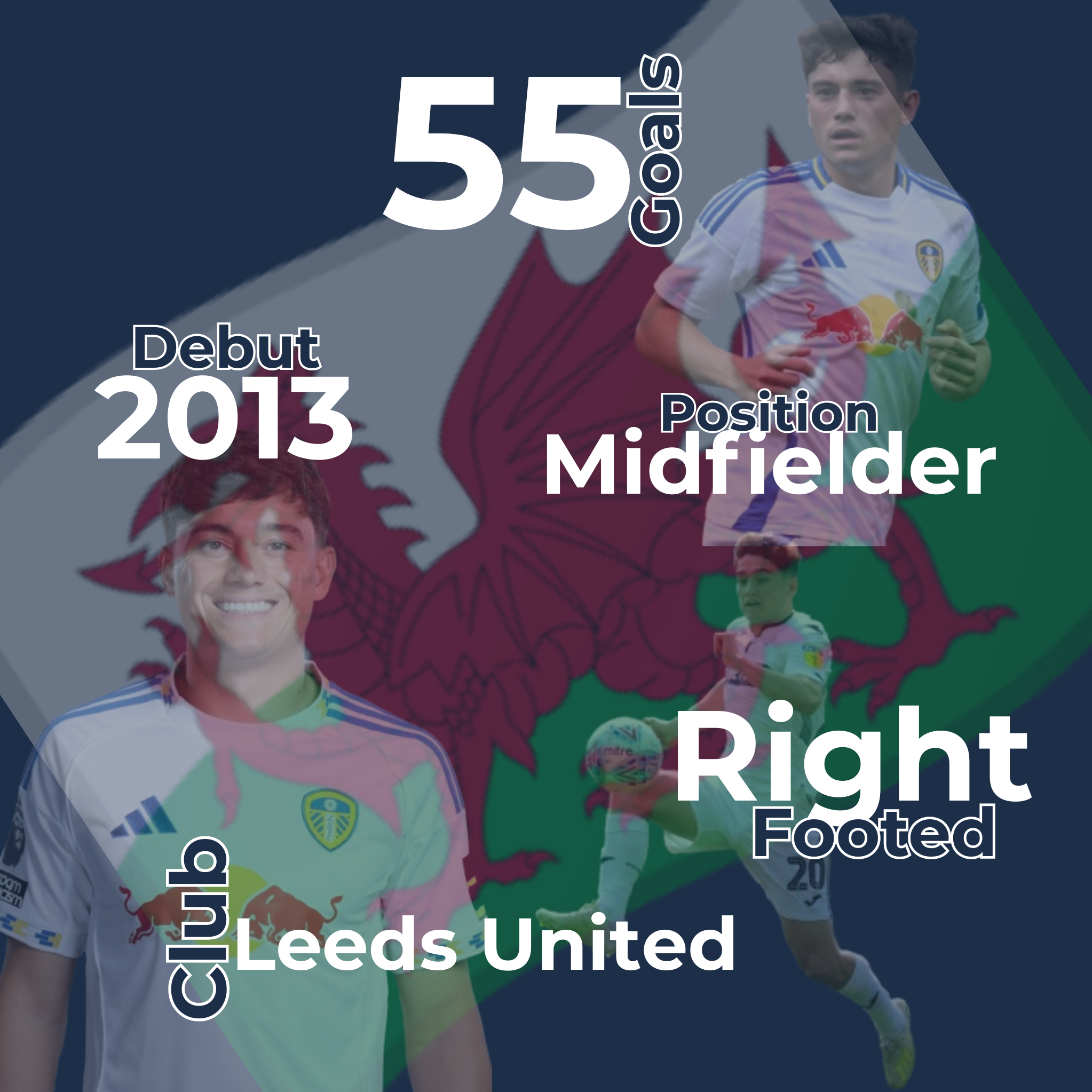 Daniel James Infographic